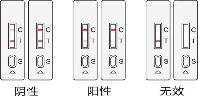 呕吐毒素检测卡判断图1.png